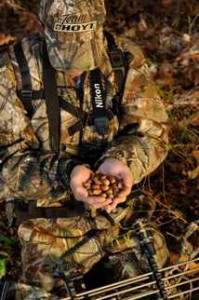 deer-hunting-late-season-brad-herndon-acorns