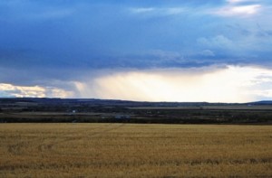 Rain on the plains is bad for waterhole hunting