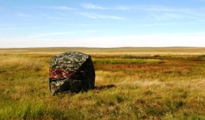 Waterhole blind Montana P.MeitinPhoto