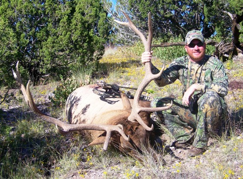 Field dress an elk