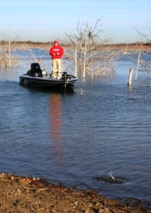 Largemouth Bass