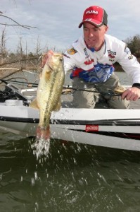 Largemouth Bass - Spinnerbaits