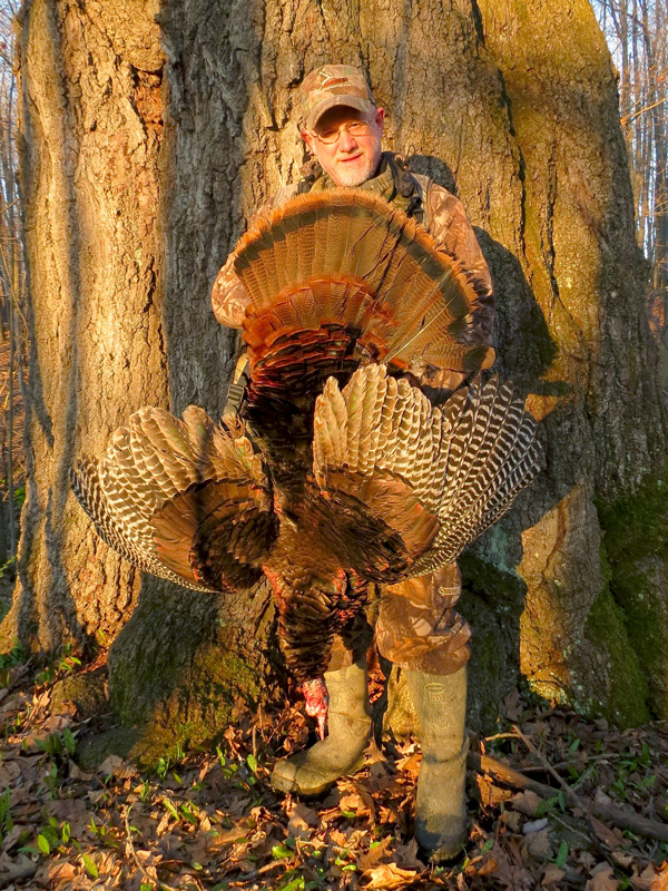 early season gobbler