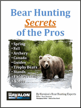 Bear Hunting Secrets of the Pros