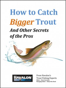 How to catch bigger trout & other secrets_b test 480X638