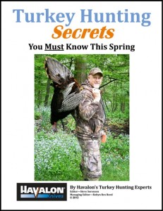 Turkey Hunting Secrets 480X621