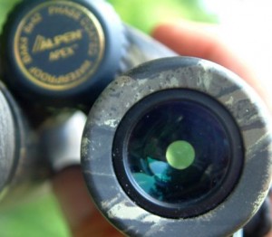 binoculars-showing-exit-pupil