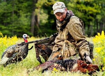 missouri a great place for wild turkeys 448x323