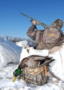 missouri-river-ducks-427x600